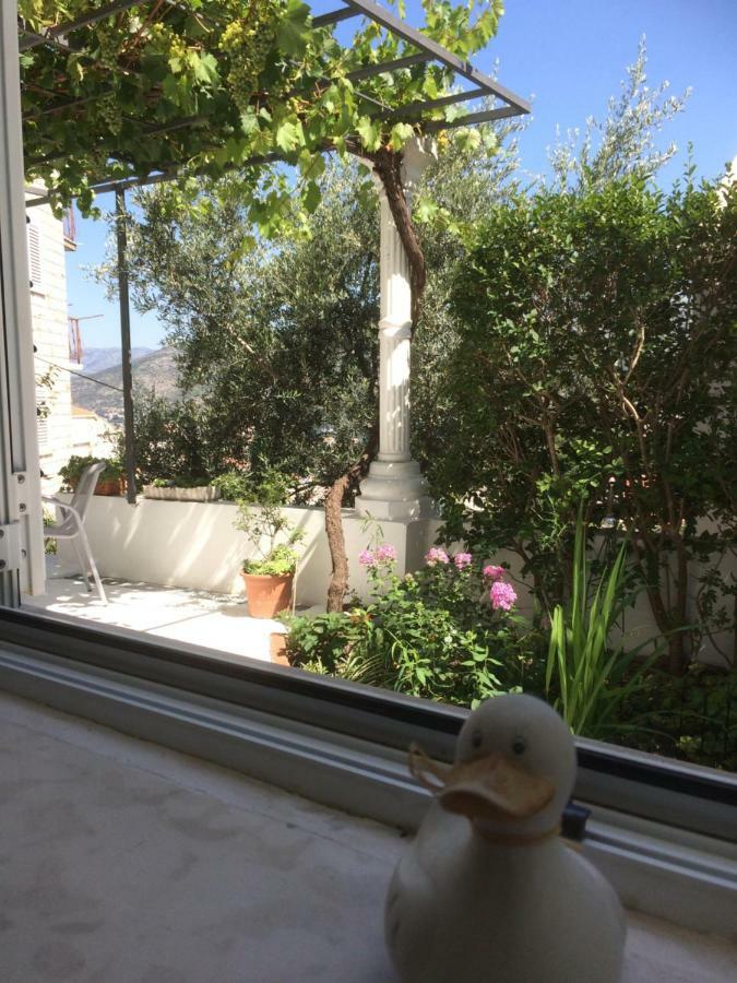 Apartman Vitis Dubrovnik Eksteriør billede